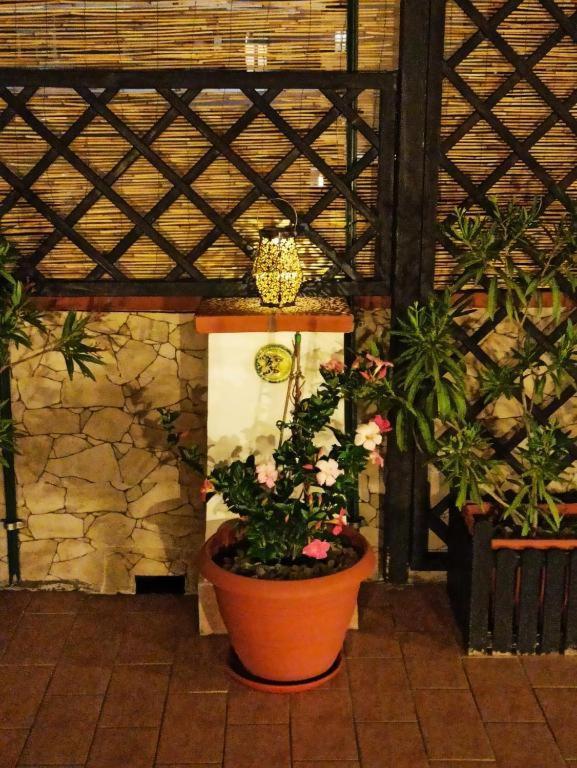 Apartment House Solesiculo Syracuse