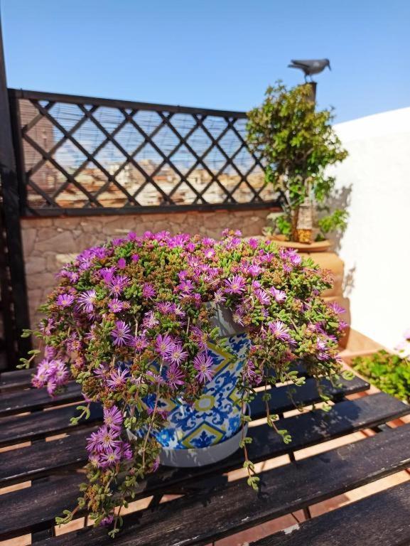 Apartment House Solesiculo Syracuse