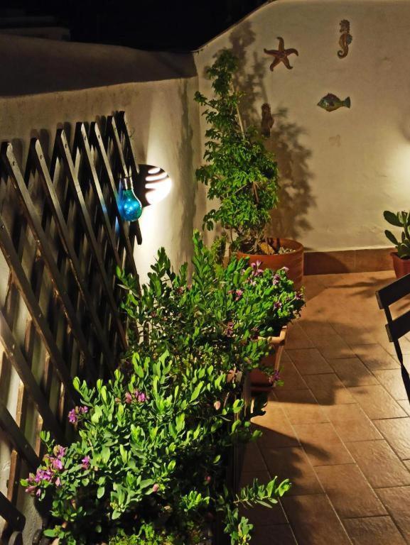House Solesiculo Apartment
